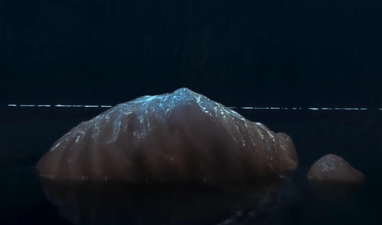 被《云南虫谷》野泳镜头吓一身鸡皮疙瘩,马国庆溺水身亡如何解释