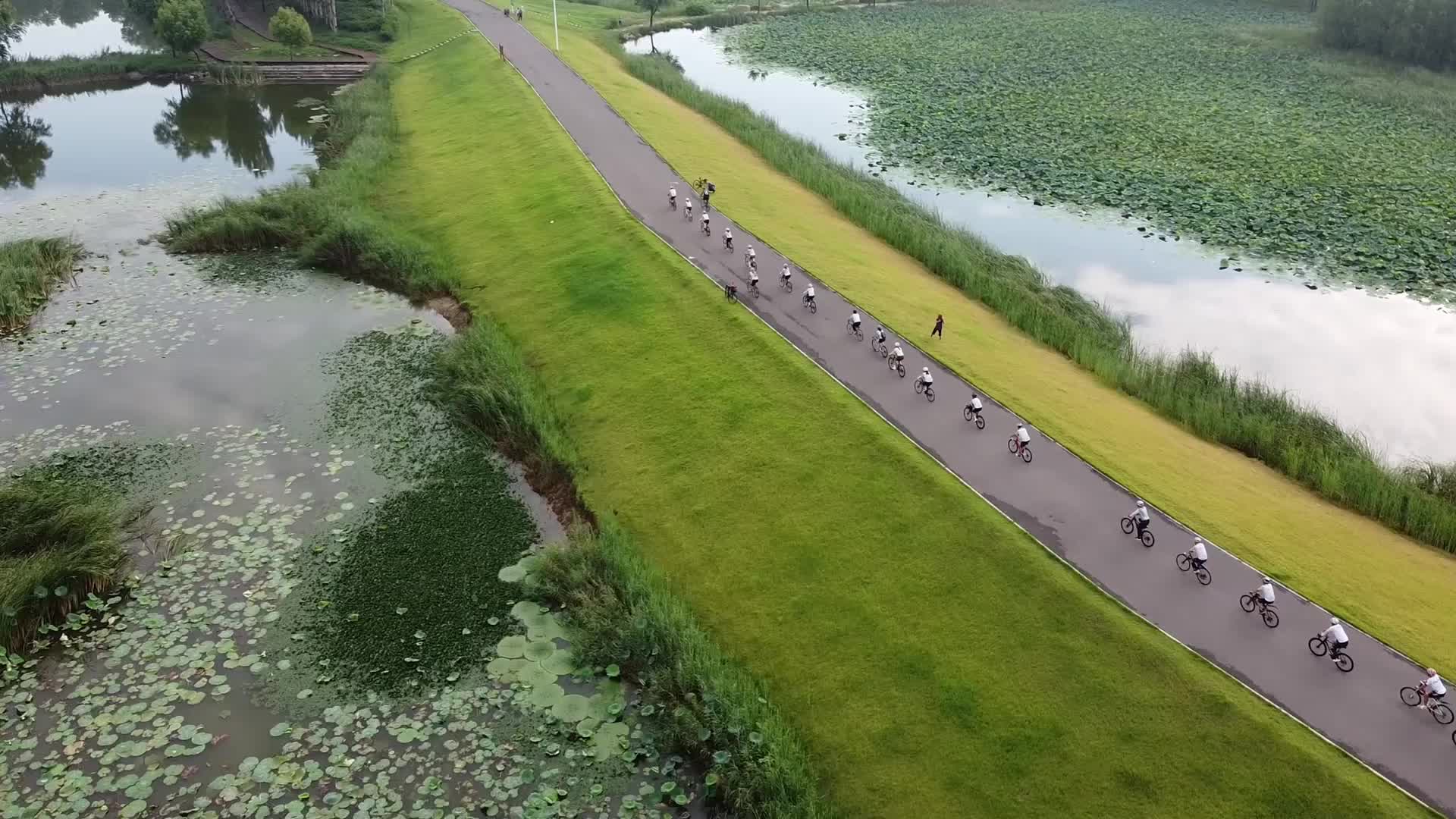 全民健身日——"隐秘"的赛场 探访潍坊北辰绿洲湿地公园