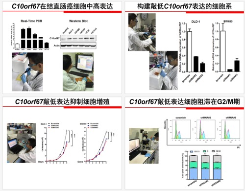 昆明小学生研究获全国奖 实验中还不懂基因是啥