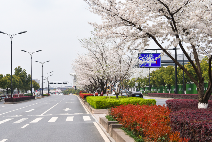 余杭区良睦路北延,五馆一中心等项目最新消息,预计2022年开工