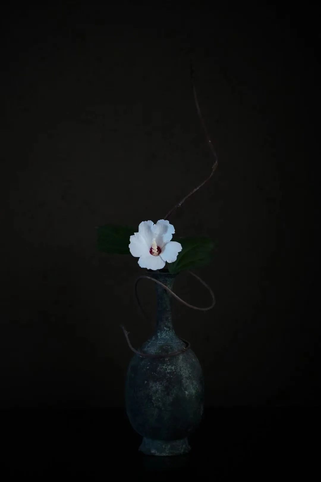 高级审美一定是越简素越好