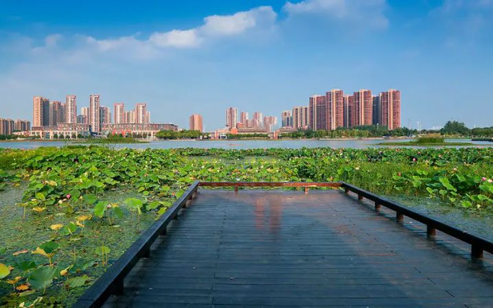 南京景点推荐,莲花湖公园 低音号语音导游