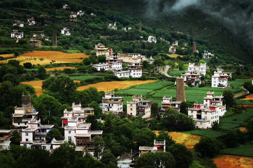 四川丹巴县:美人谷里麦穗飘香