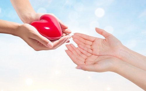 田静代表小星星捐助幼儿园,奇奇接受爱的教育!猫妈资格遭到质疑