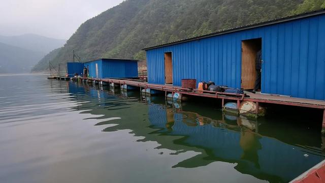 昆明周边100公里柴石滩水库,行程不出昆明市区,野钓鱼资源丰富