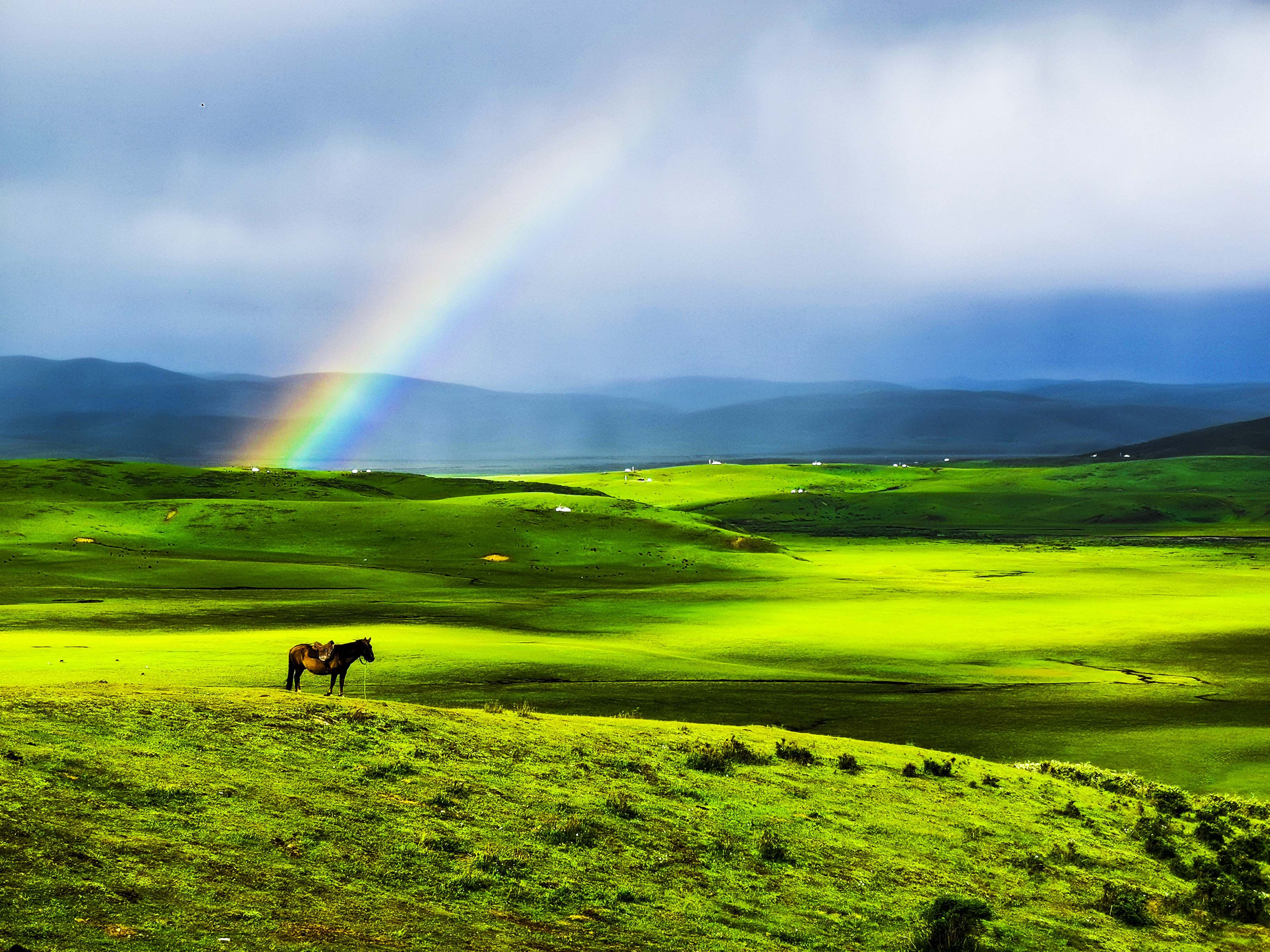 我国正式公布第一批"红色草原",涉及9个省(区)共12处