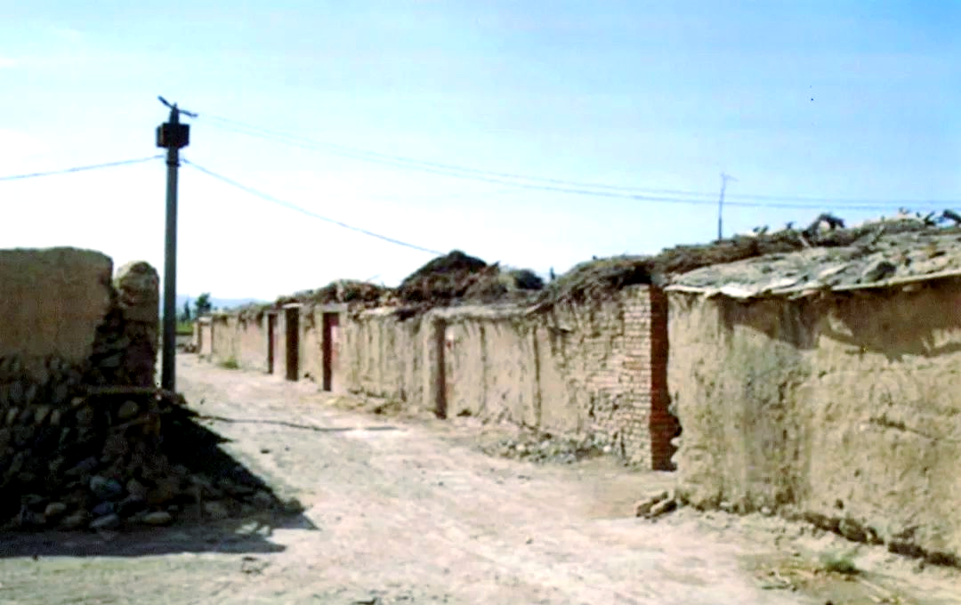 迎风的青春:石油大院的集体记忆与怀旧情怀