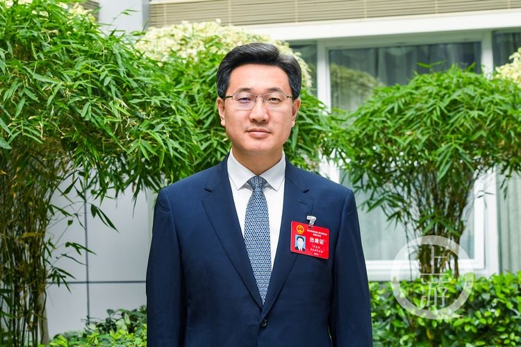 重庆市人大代表王志杰:以打磨一本"书"的作品感 为两江新区"健体"