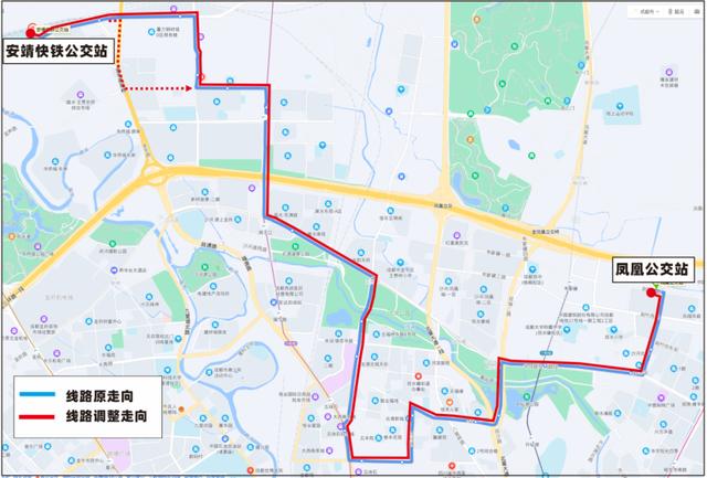 245路线路图图片