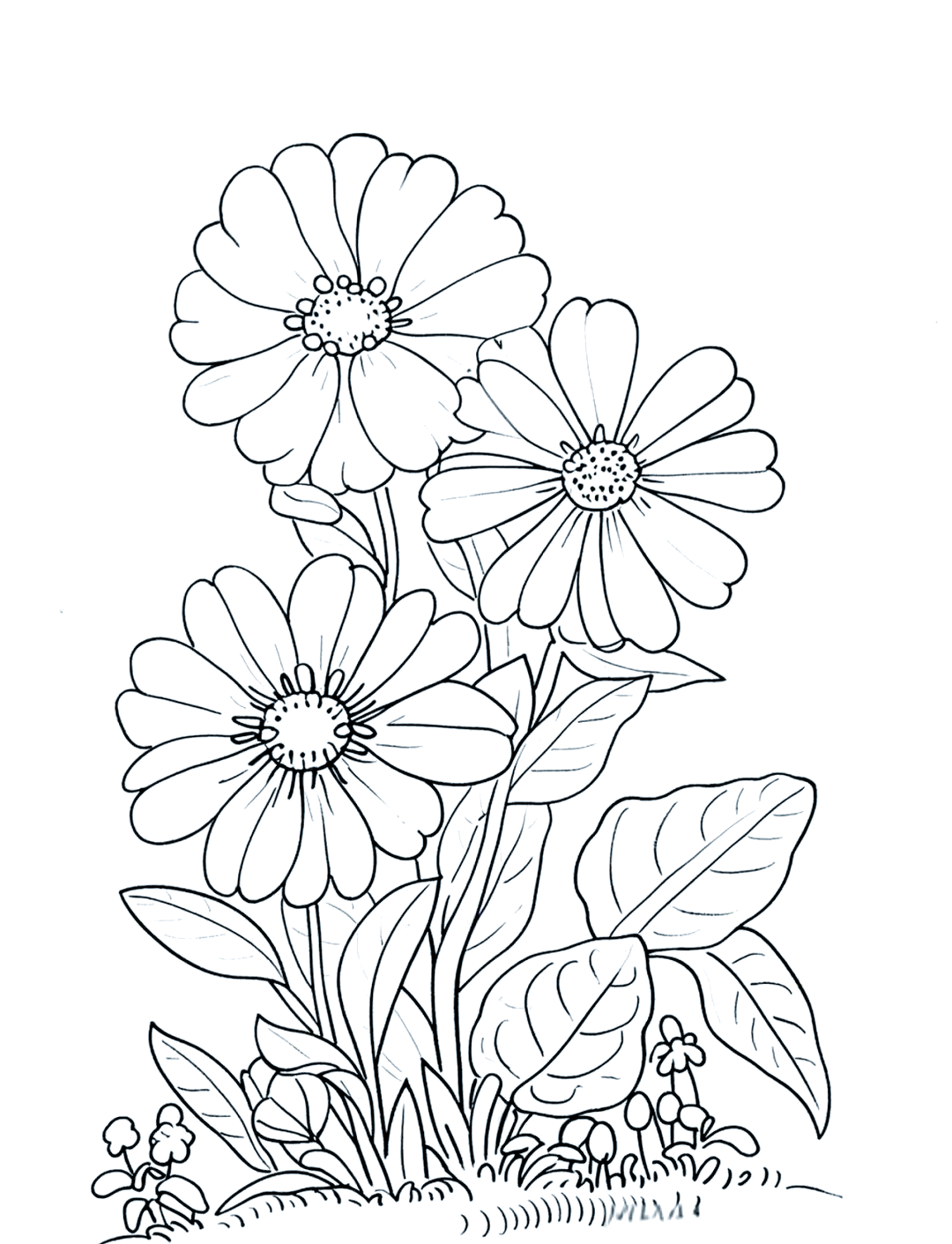 精选花卉线描简笔画作品及绘画技巧详解