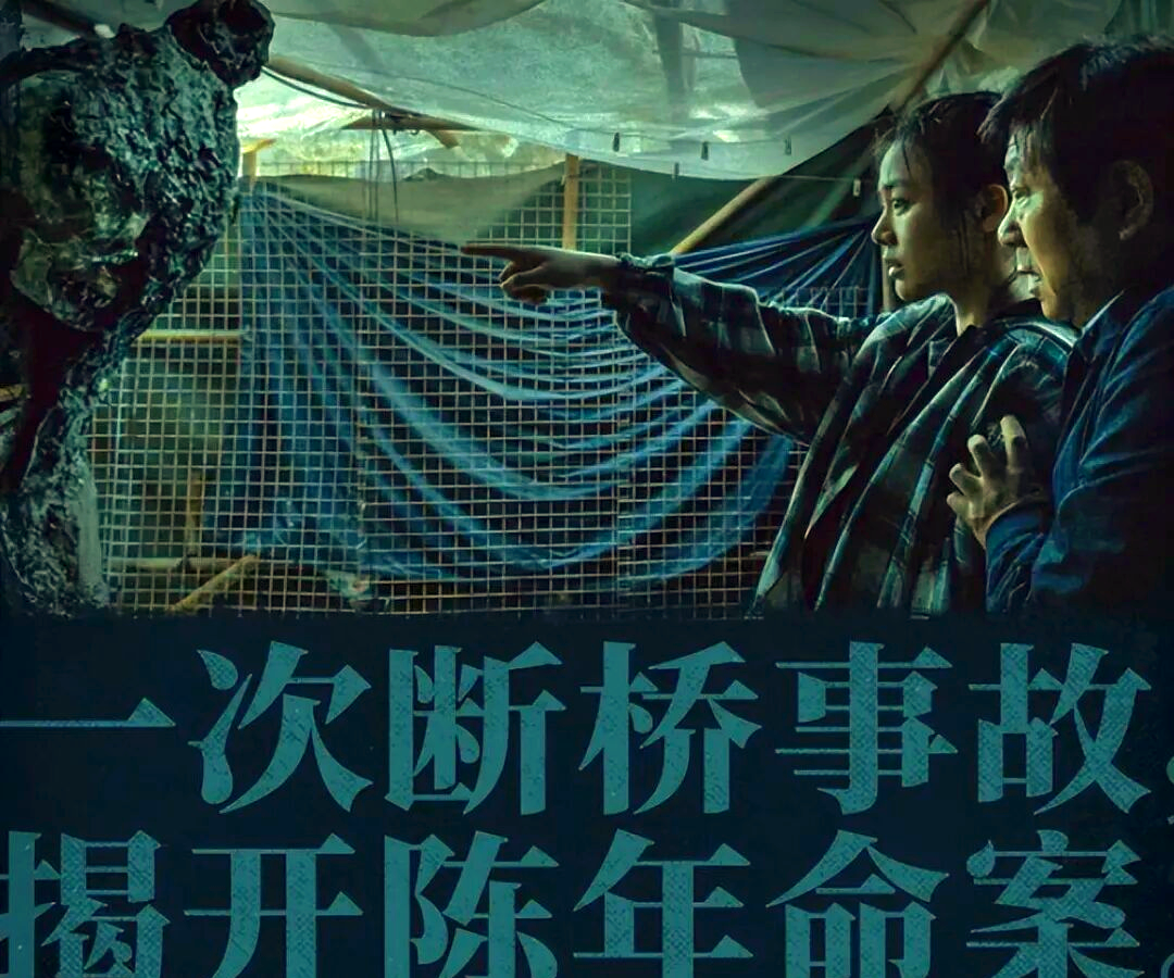 电影《断桥》:人性复杂与真相探索之旅