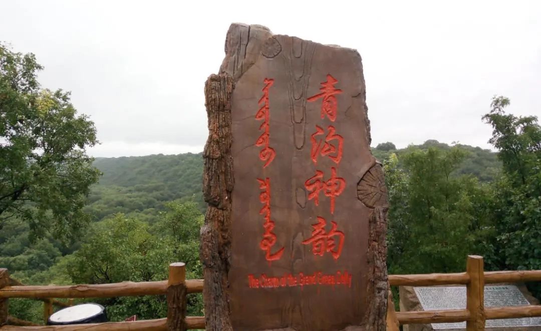 大青沟风景旅游区包括原始森林,三岔口和小青湖三个景区