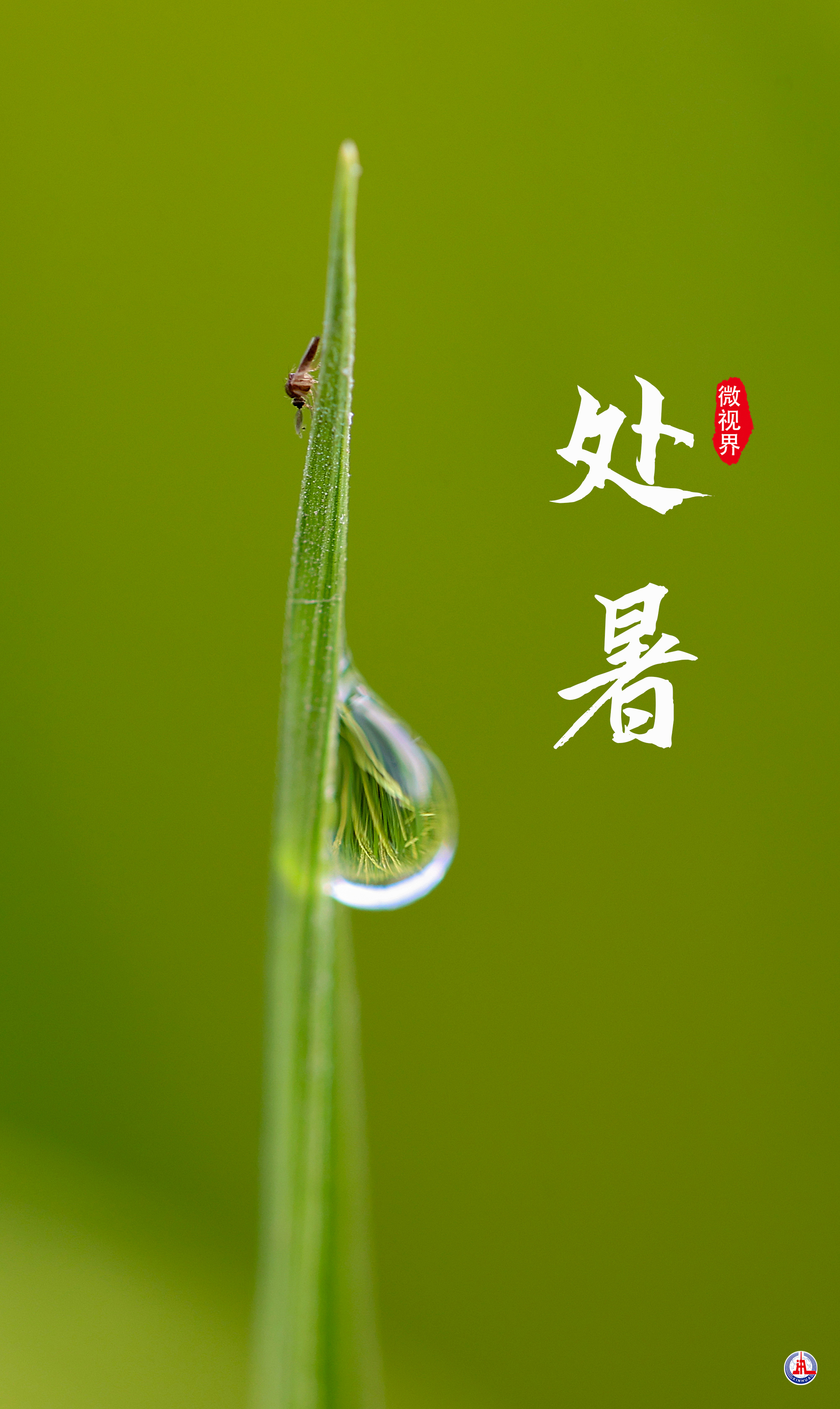 微视界|处暑:袅袅秋风起 最美人间秋