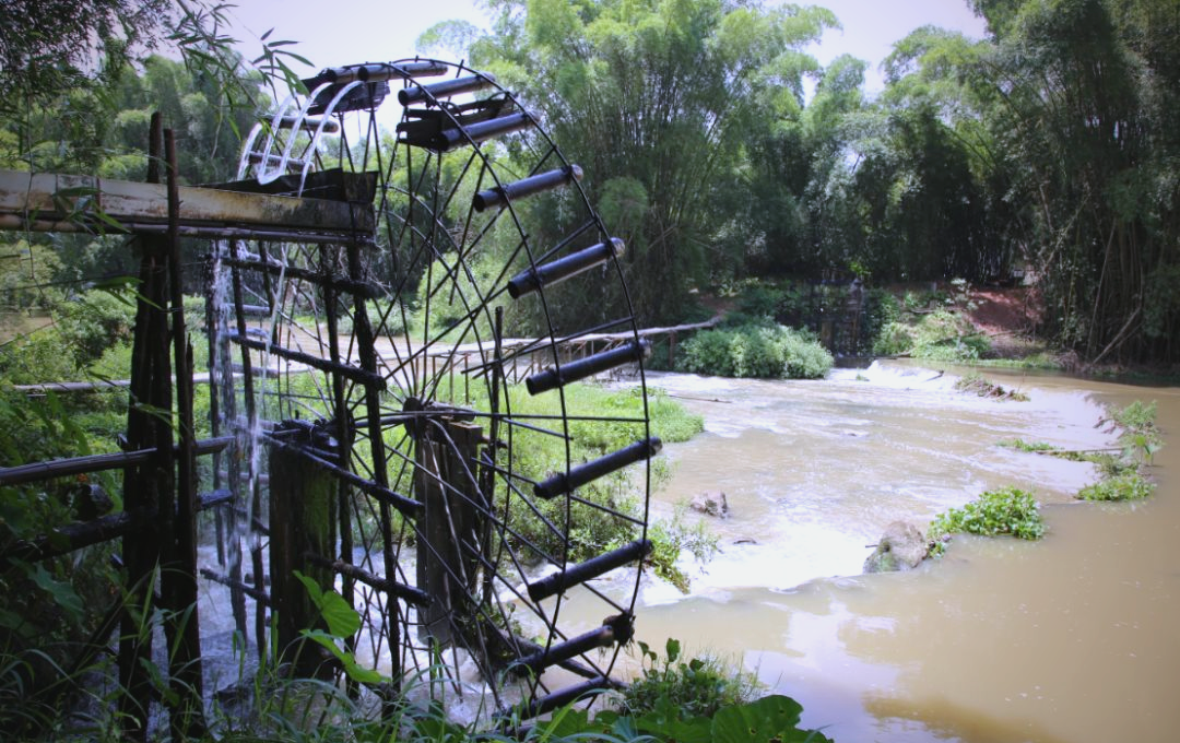 怀集县水车灌溉:古老工具抗旱显身手