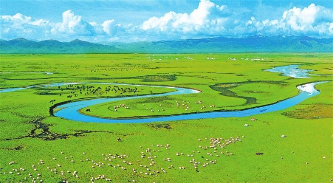「色彩里的甘肃」走进甘肃草原 开启夏日之旅