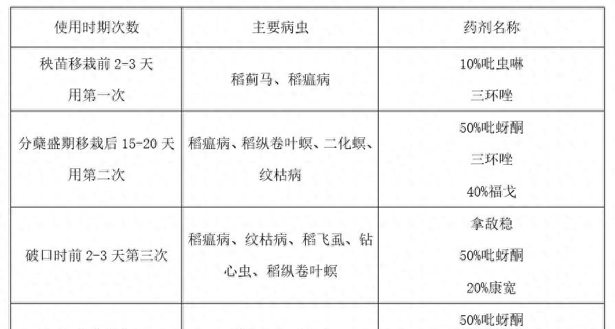 中国水稻研究所育成的籼型常规早稻品种中早39备受农民青睐