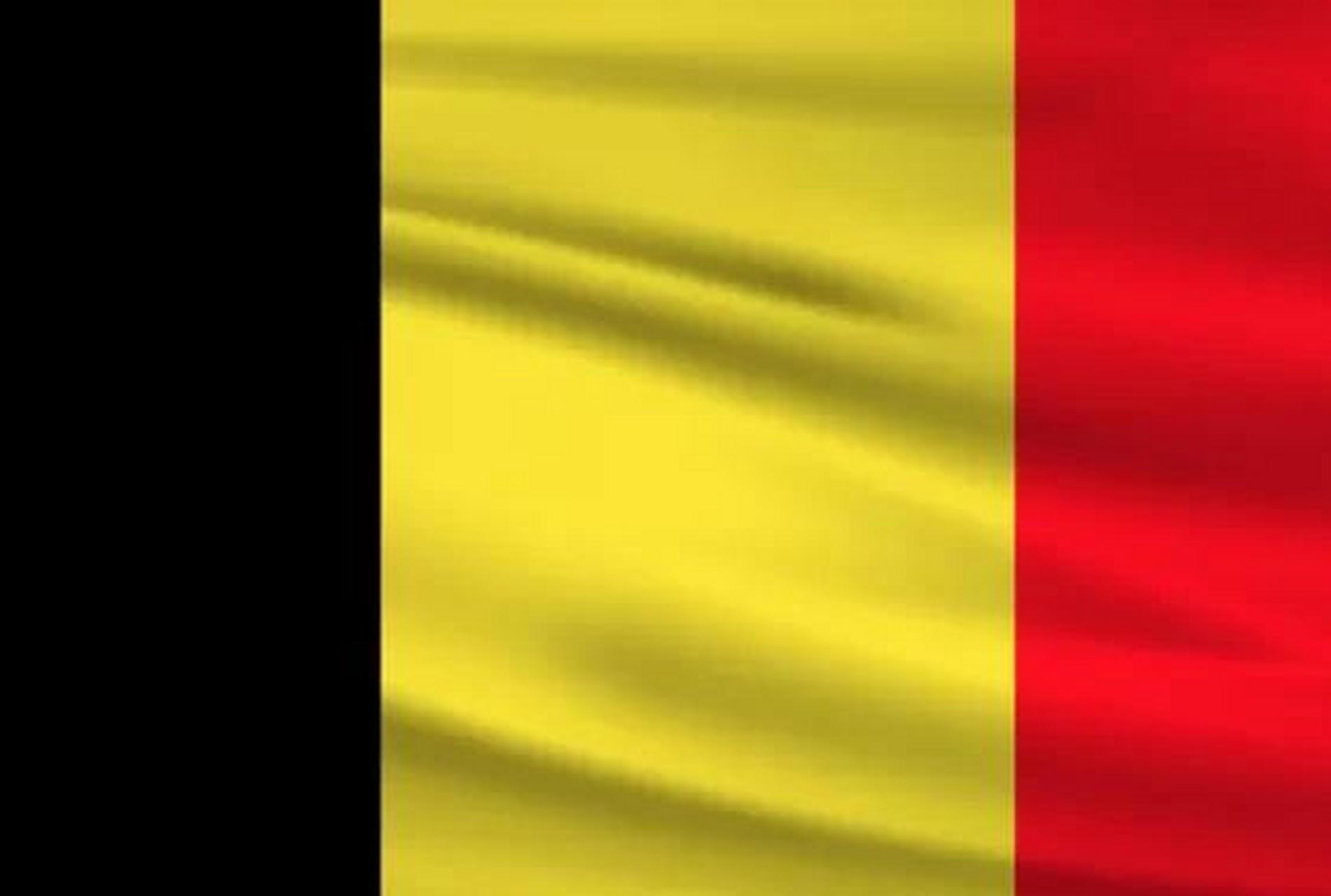 该文件已经在比利时内阁官方网站上公布.