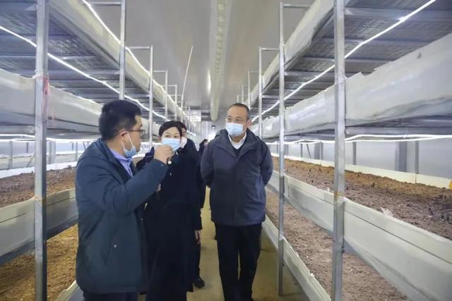 区委书记周耕赴黄陂区开展乡村振兴帮扶调研慰问