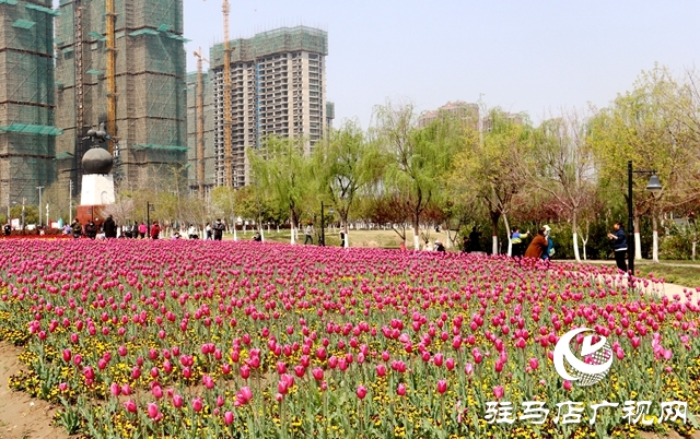 驻马店植物园图片