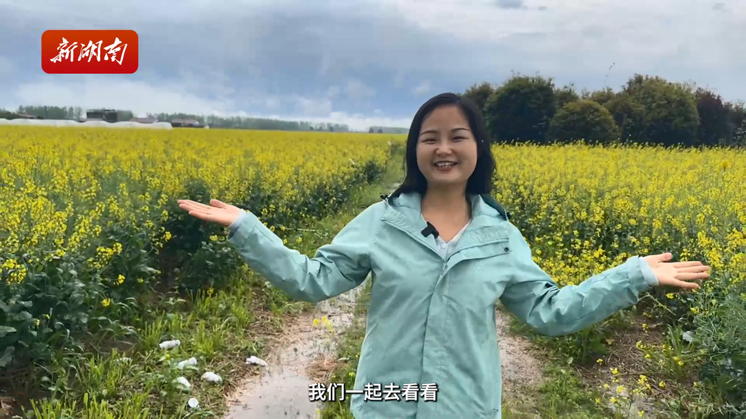走读湘村"强富美"⑨|油菜6000亩,年挣400万