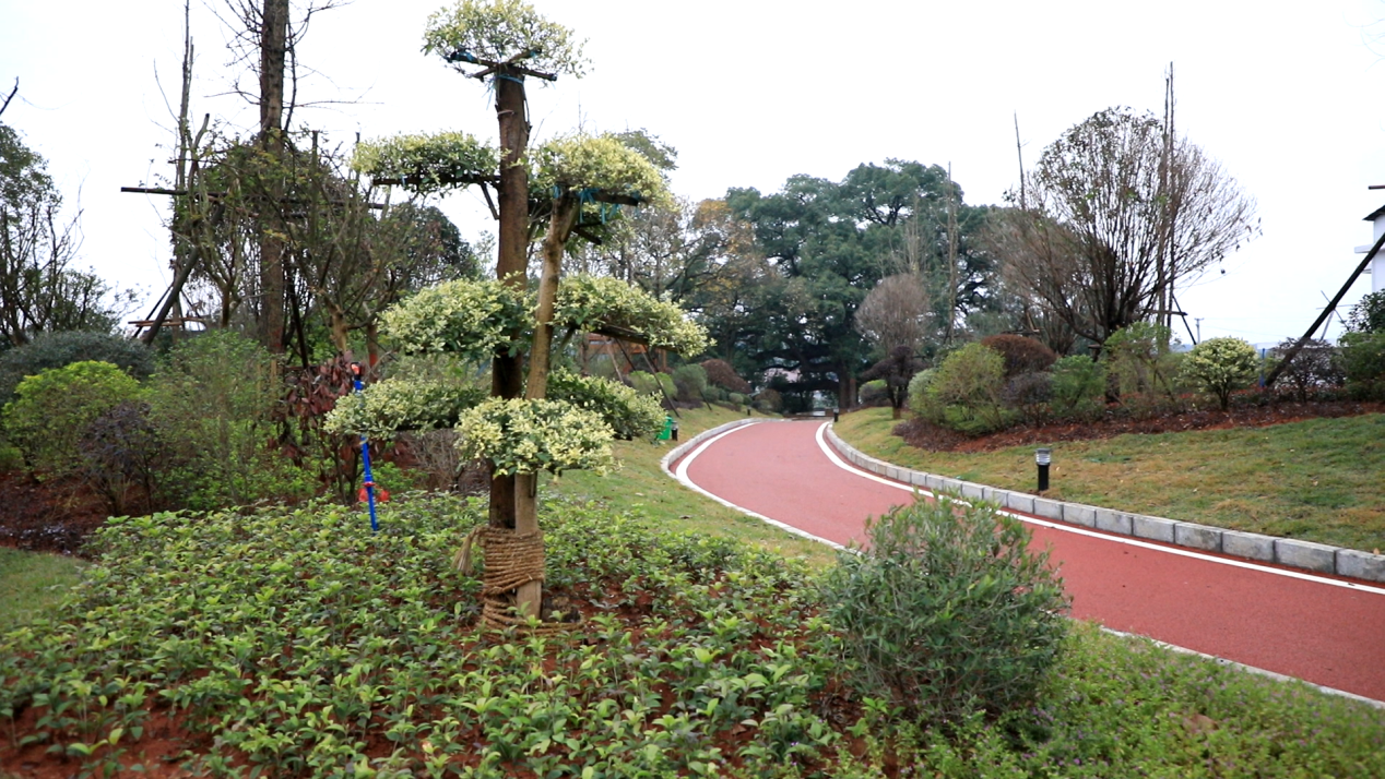 祁阳:精致小游园刷新乡村"颜值"