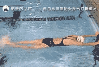 自由泳打腿的几种练习方式