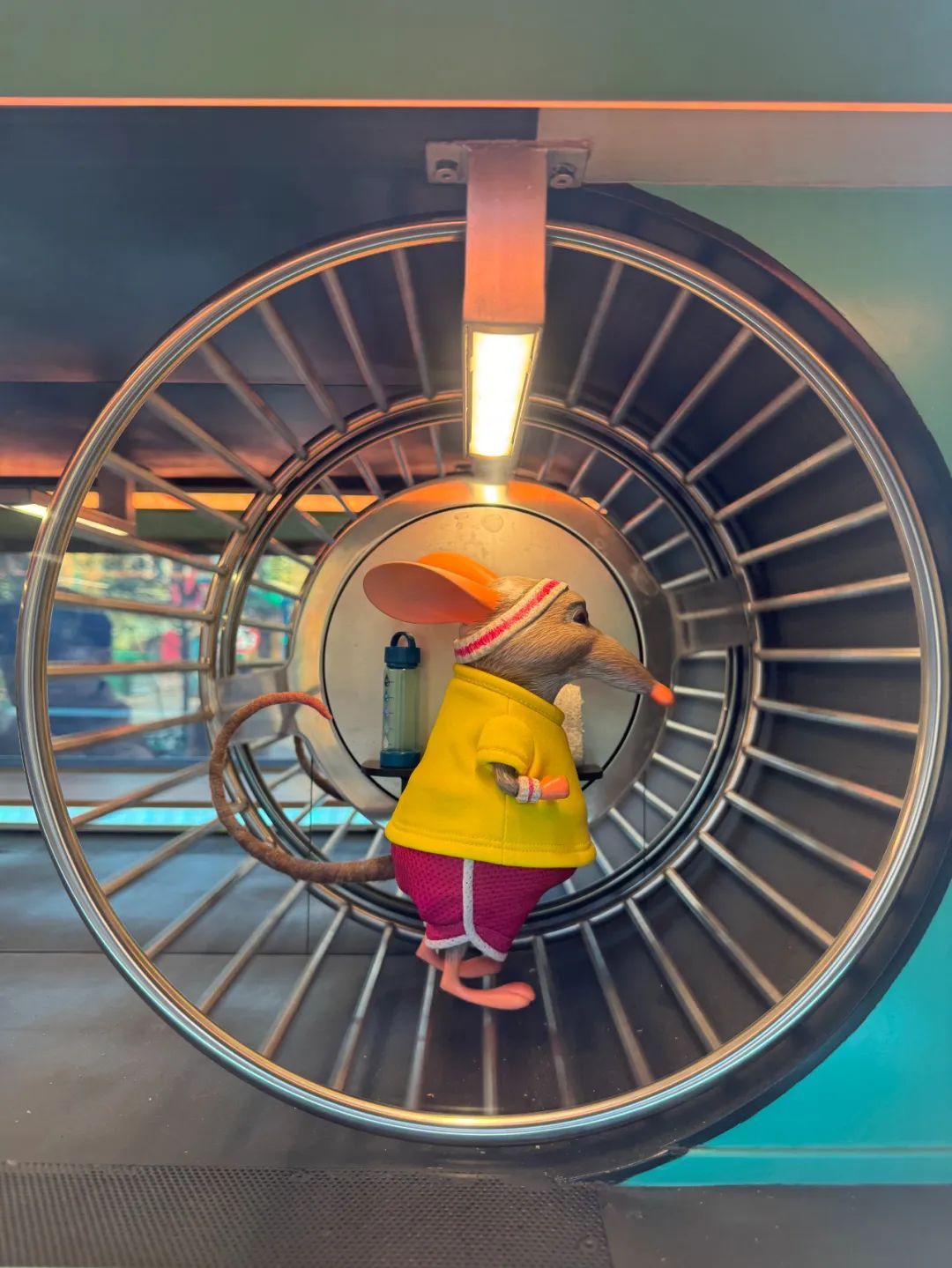 超前探营!兔小布成为上海迪士尼疯狂动物城的"新居民"啦