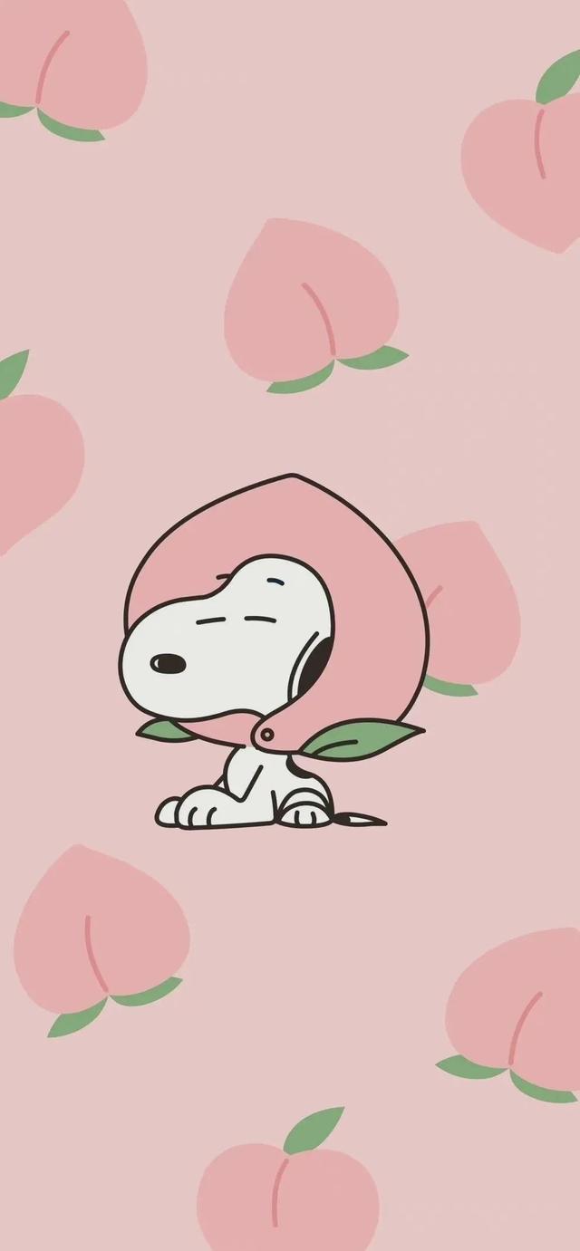 这一波神仙壁纸绝了