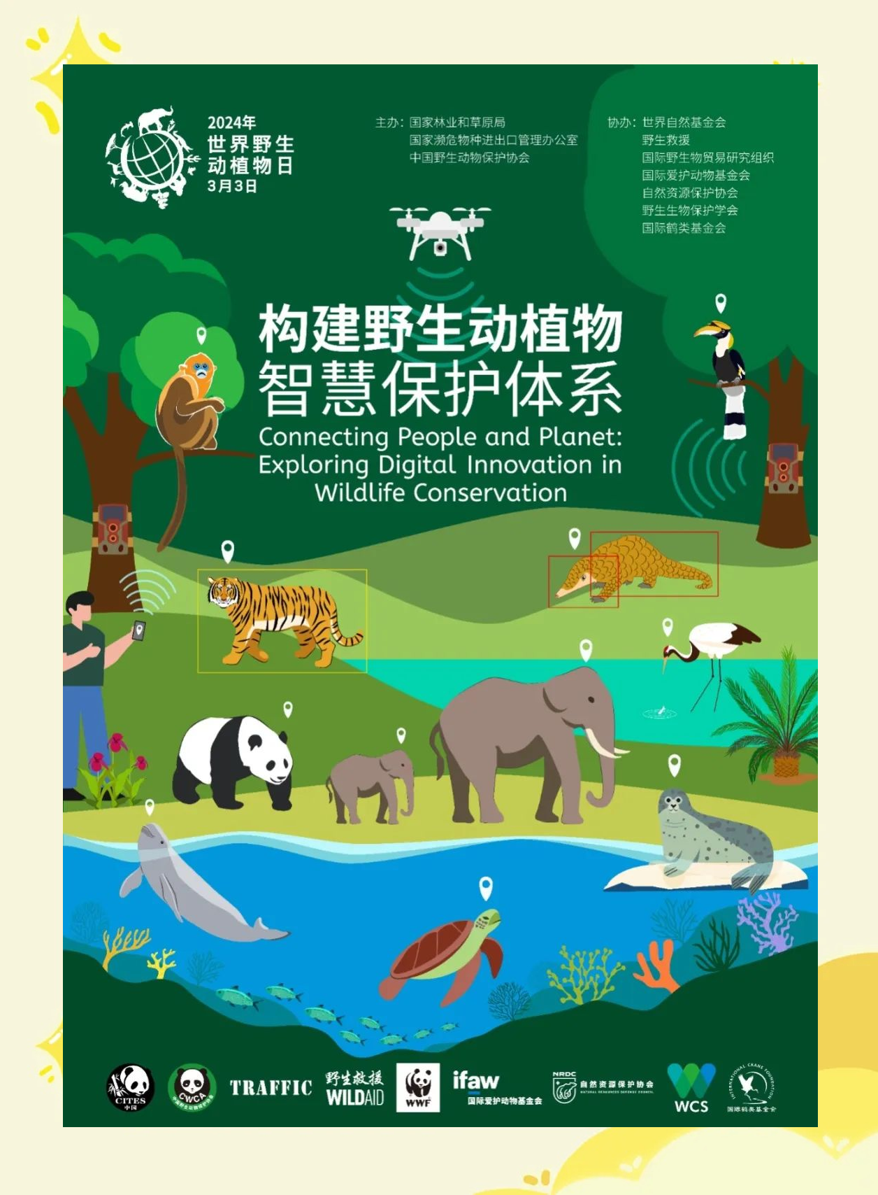 野生动植物保护的多重倡议与行动指南