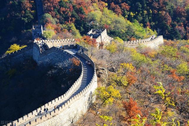 低头看书,抬头看世界