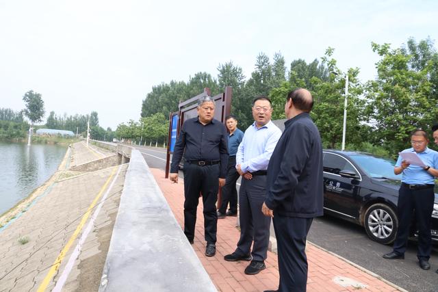 泰安市岱岳区领导到山口镇督导检查防汛抗旱工作