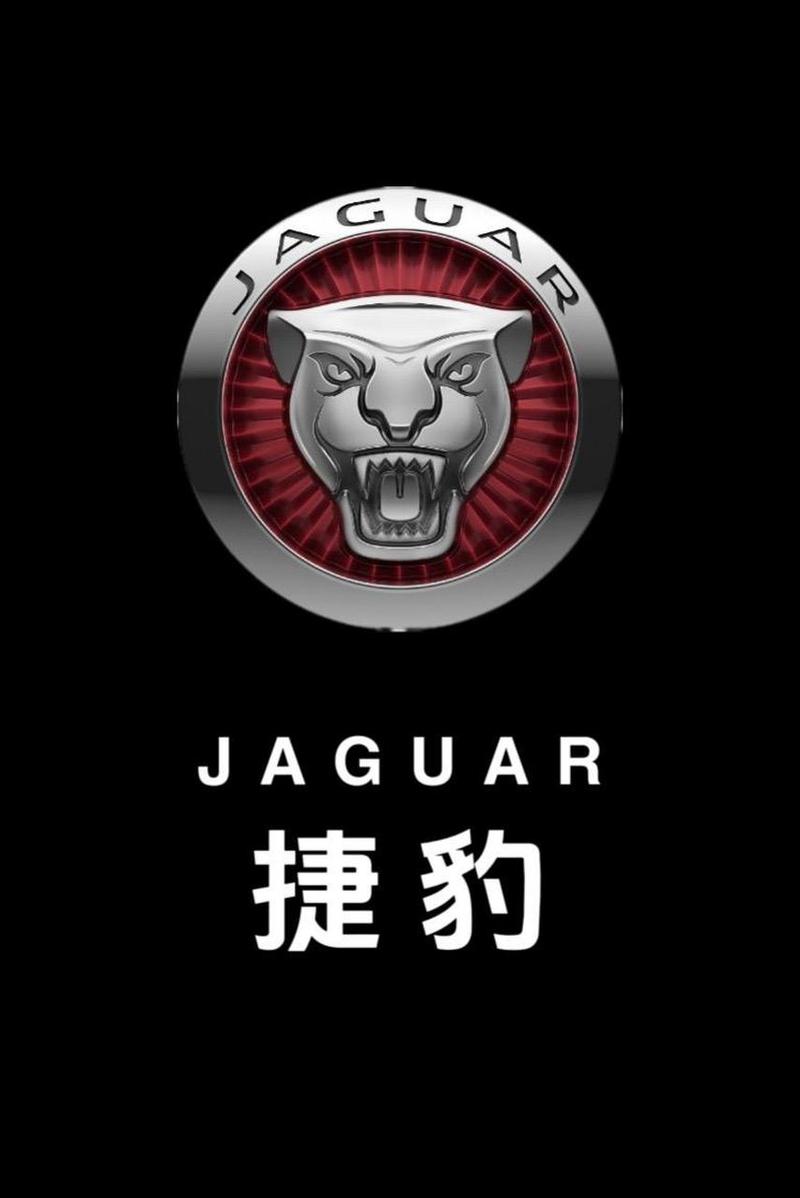 捷豹标志的材质有哪些