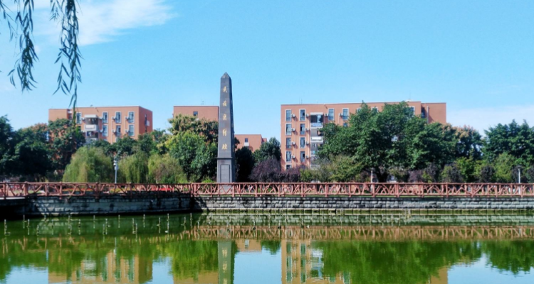 西南民族大学是211吗或985