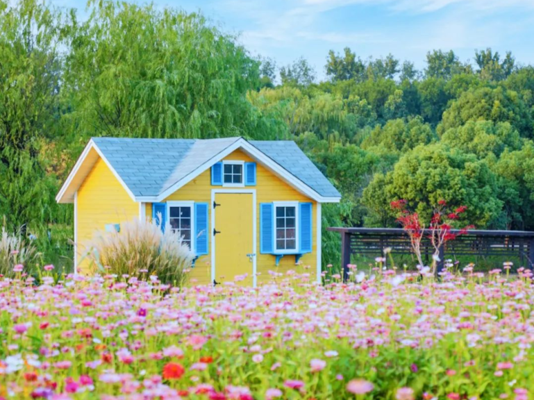 魔都秋日花海上线