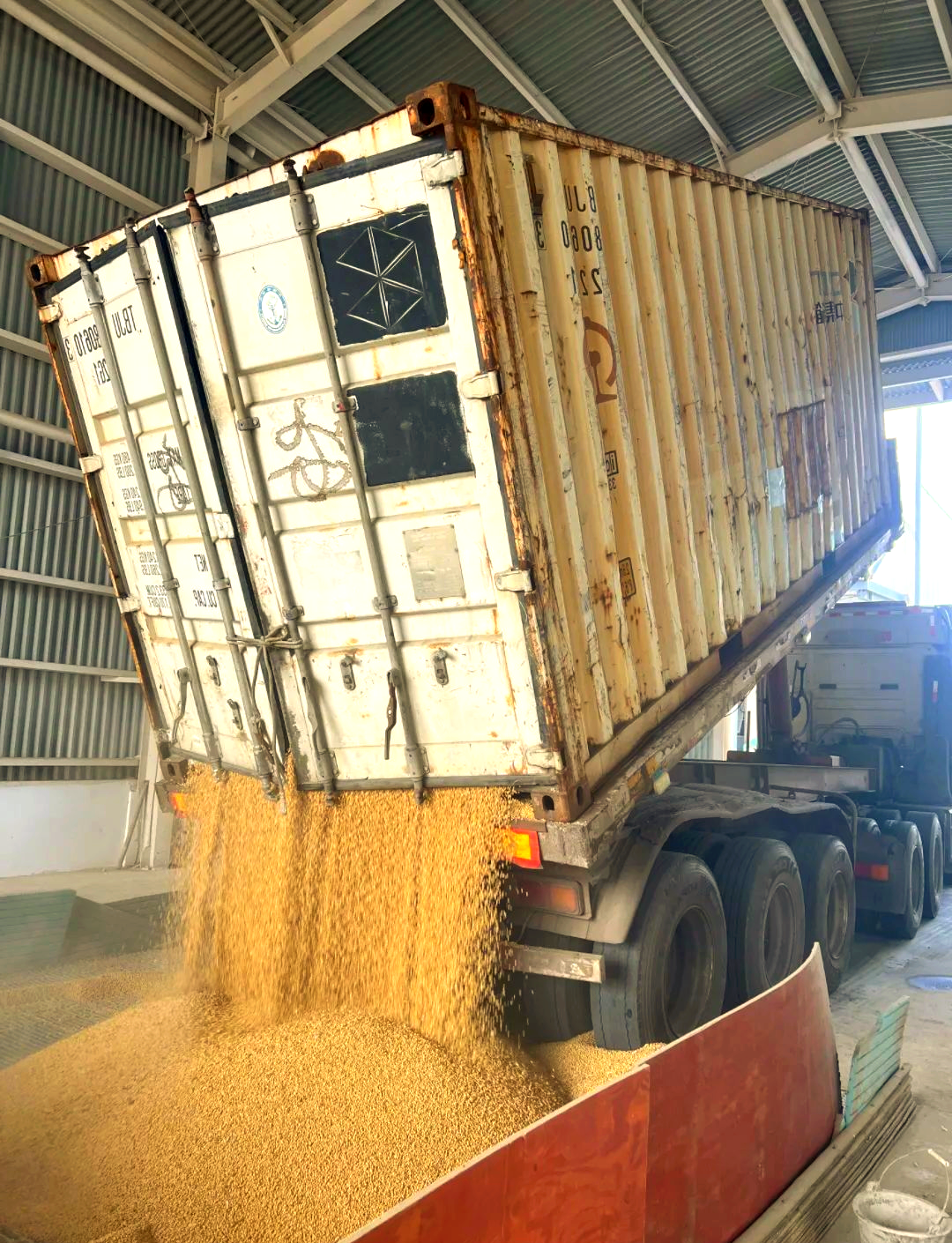 是,车辆开闸卸粮到关闸的时间,竟然仅需短短5分钟,彰显了现代化粮仓的