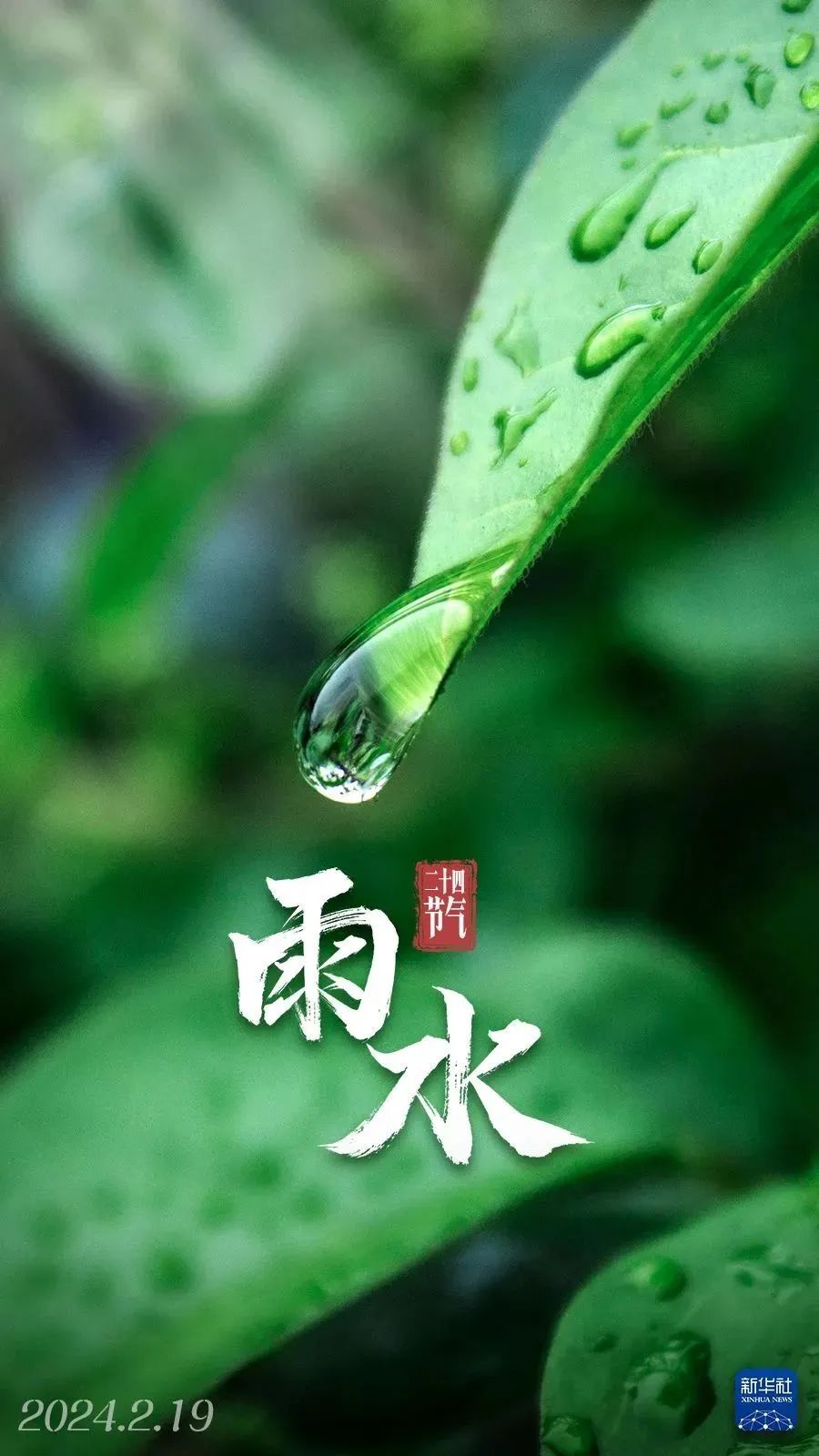 伴着春雨,一路向前!