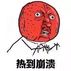 夏天来了,你的表情包也该更新了