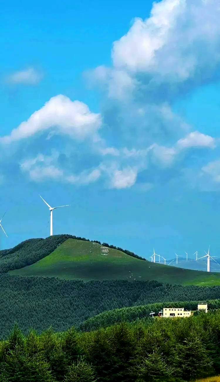 红崖大峡谷一日游,感受天然氧吧的独特魅力