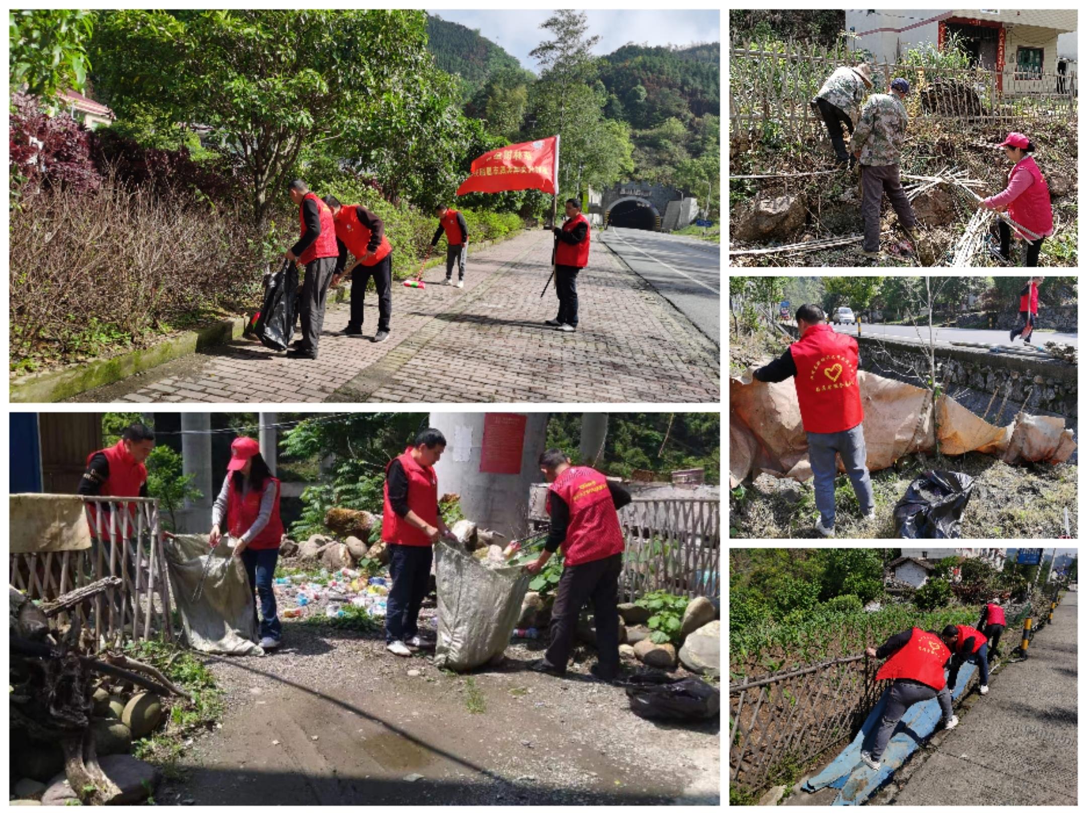 双牌县茶林镇开展"人居环境齐整治 党员干部当先锋"主题党日活动