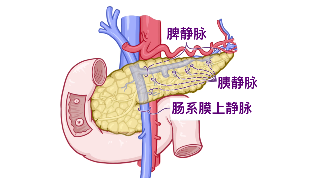 医学科普