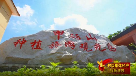 磐石市明城镇:多措并举助推村级集体经济提质增效