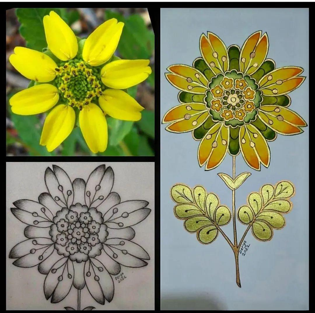 众多来自大自然的精美花草图案