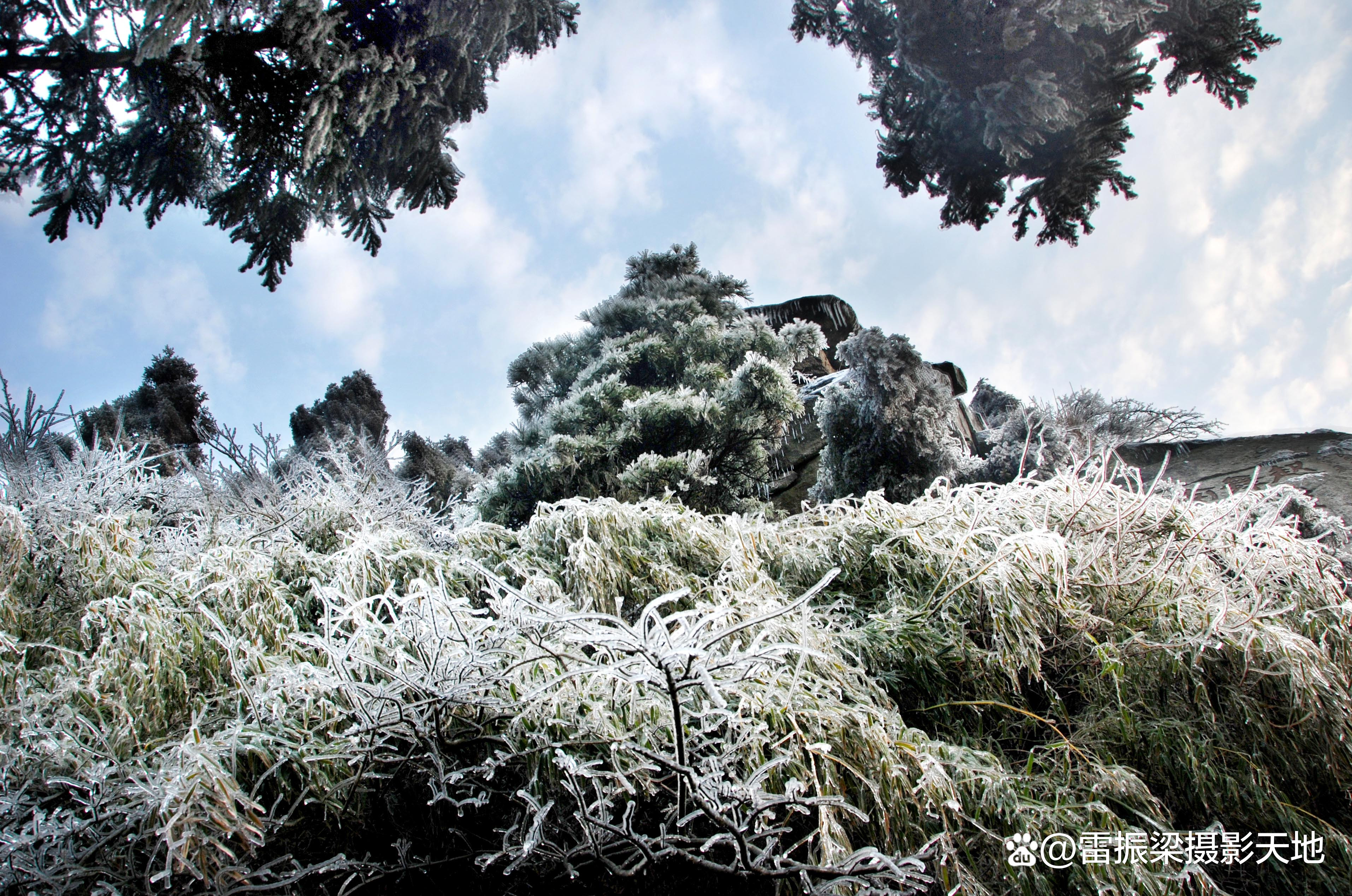 今天大雪:图赏南岳雾凇,感悟南岳晶莹剔透的冰雪雾凇传神美景!