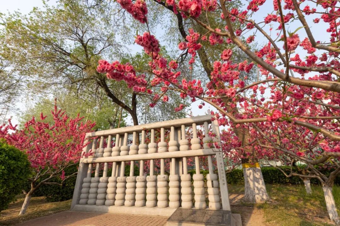 算盘 宇昂摄.jpg