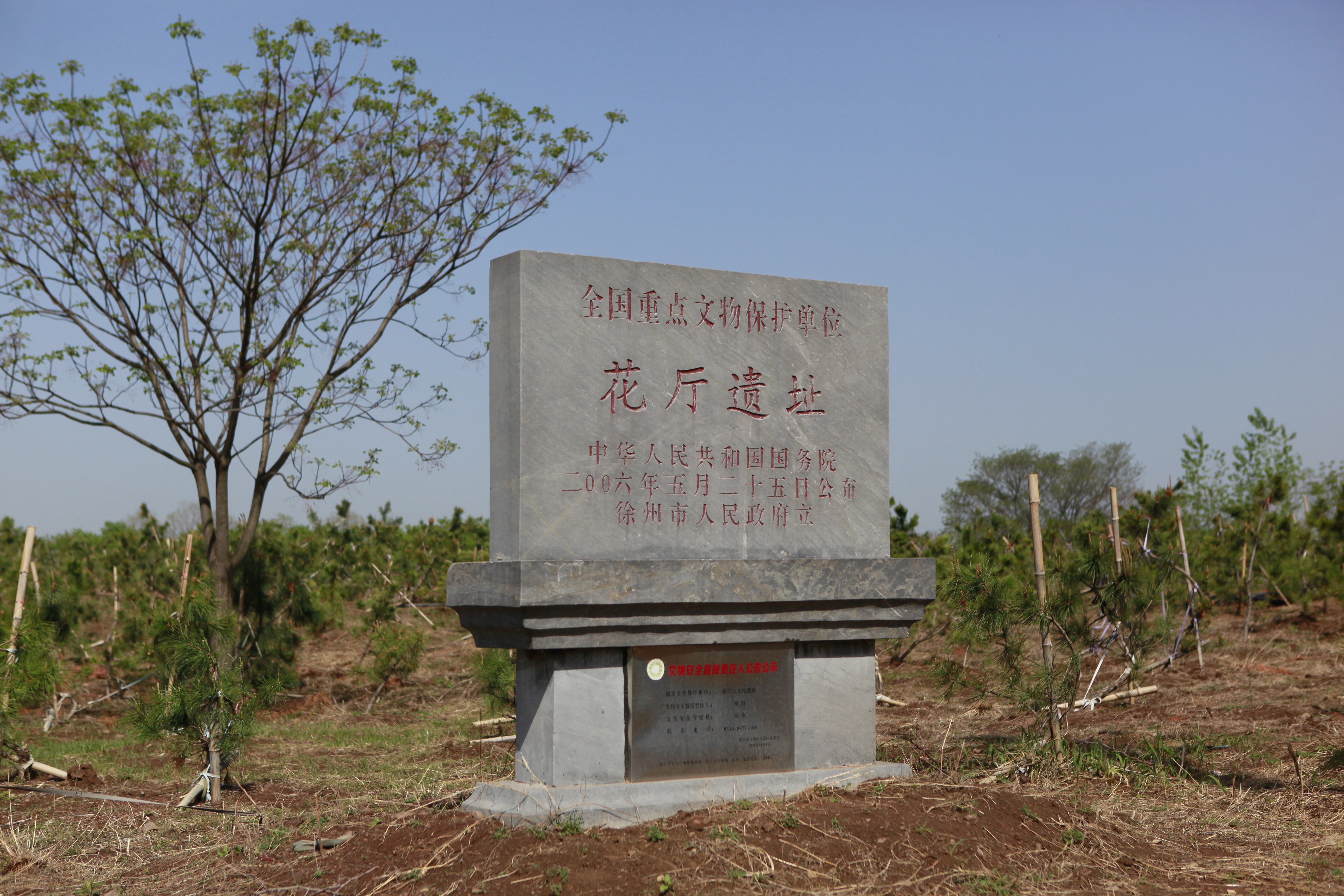 蘇從哪裡來|花廳遺址,五千多年前的