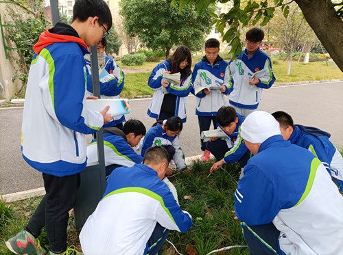 广汉金雁中学图片