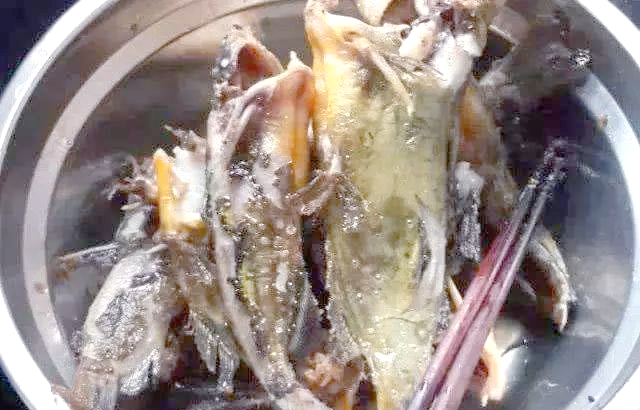 贵州角角鱼钓法与美味烹饪指南