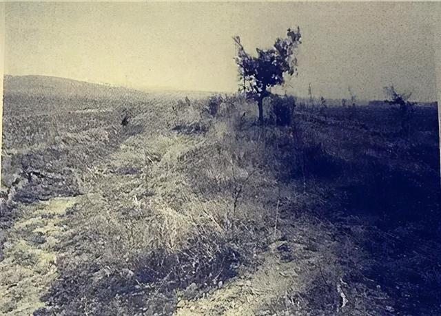 法库县柳条边遗址