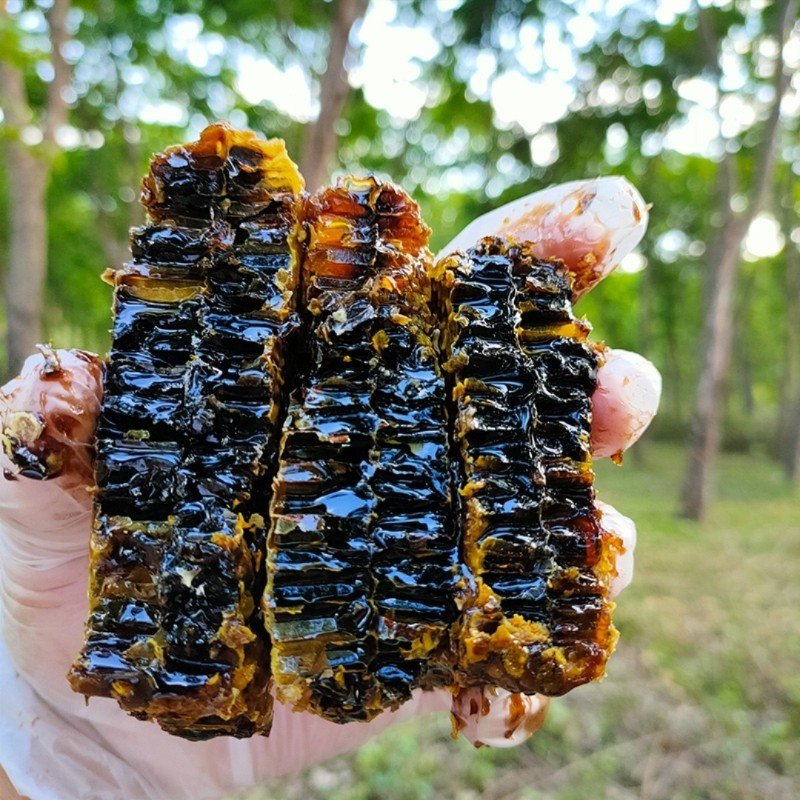 云南野生黑蜂蜜的功效(云南黑蜜的营养价值)