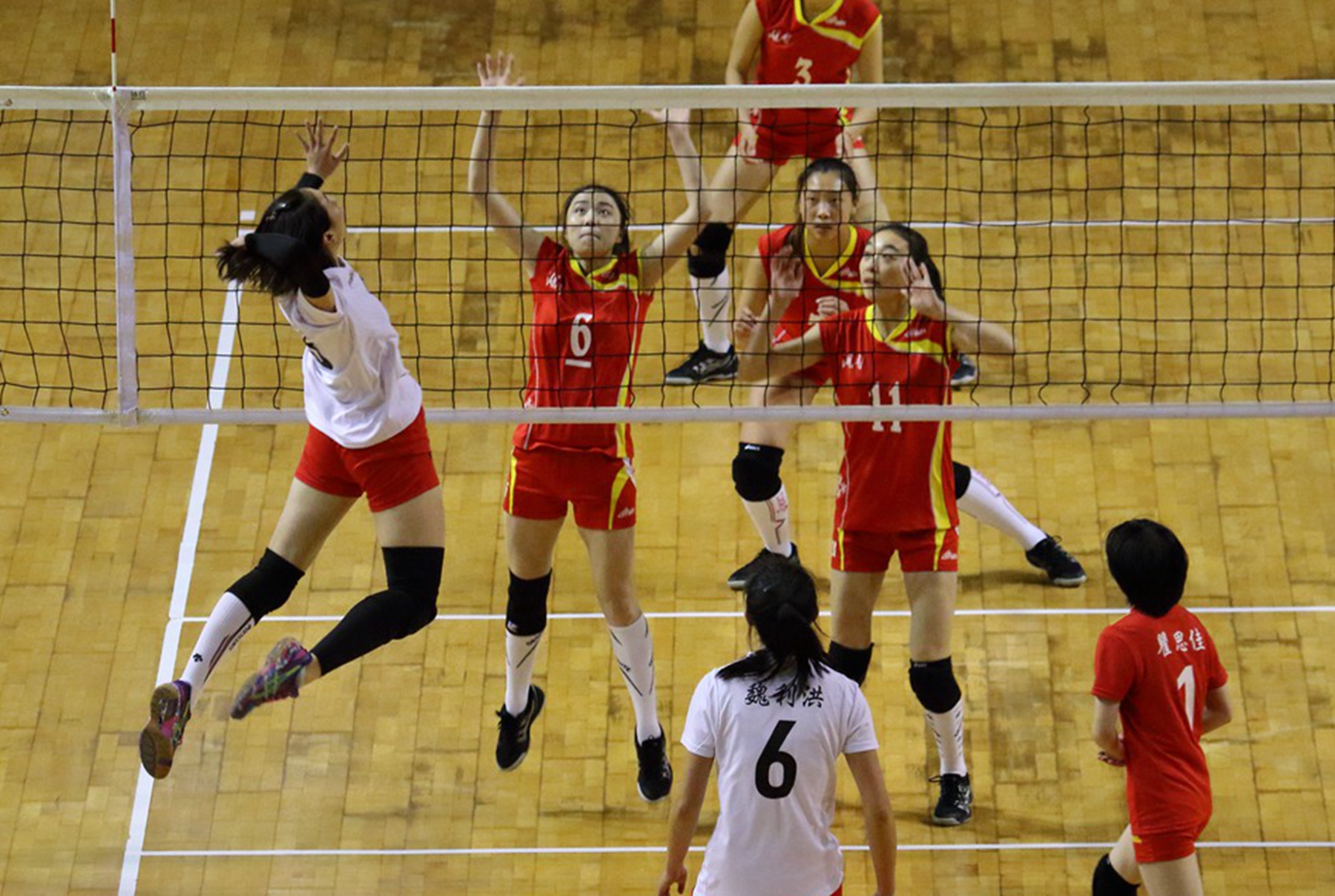 排球正式比赛采用什么赛制?中国排球协会成立时间和地点?